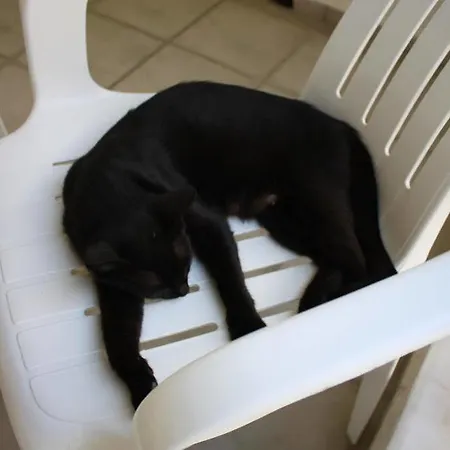 Toloman Bitez Park فندق بودروم