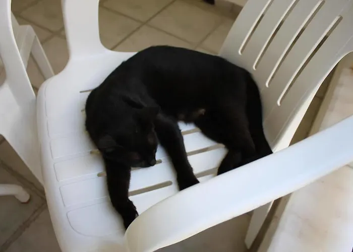 Toloman Bitez Park Ξενοδοχείο Αλικαρνασσός