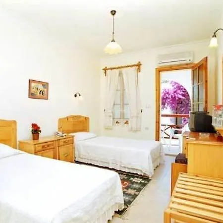 Toloman Bitez Park Hotell 3*